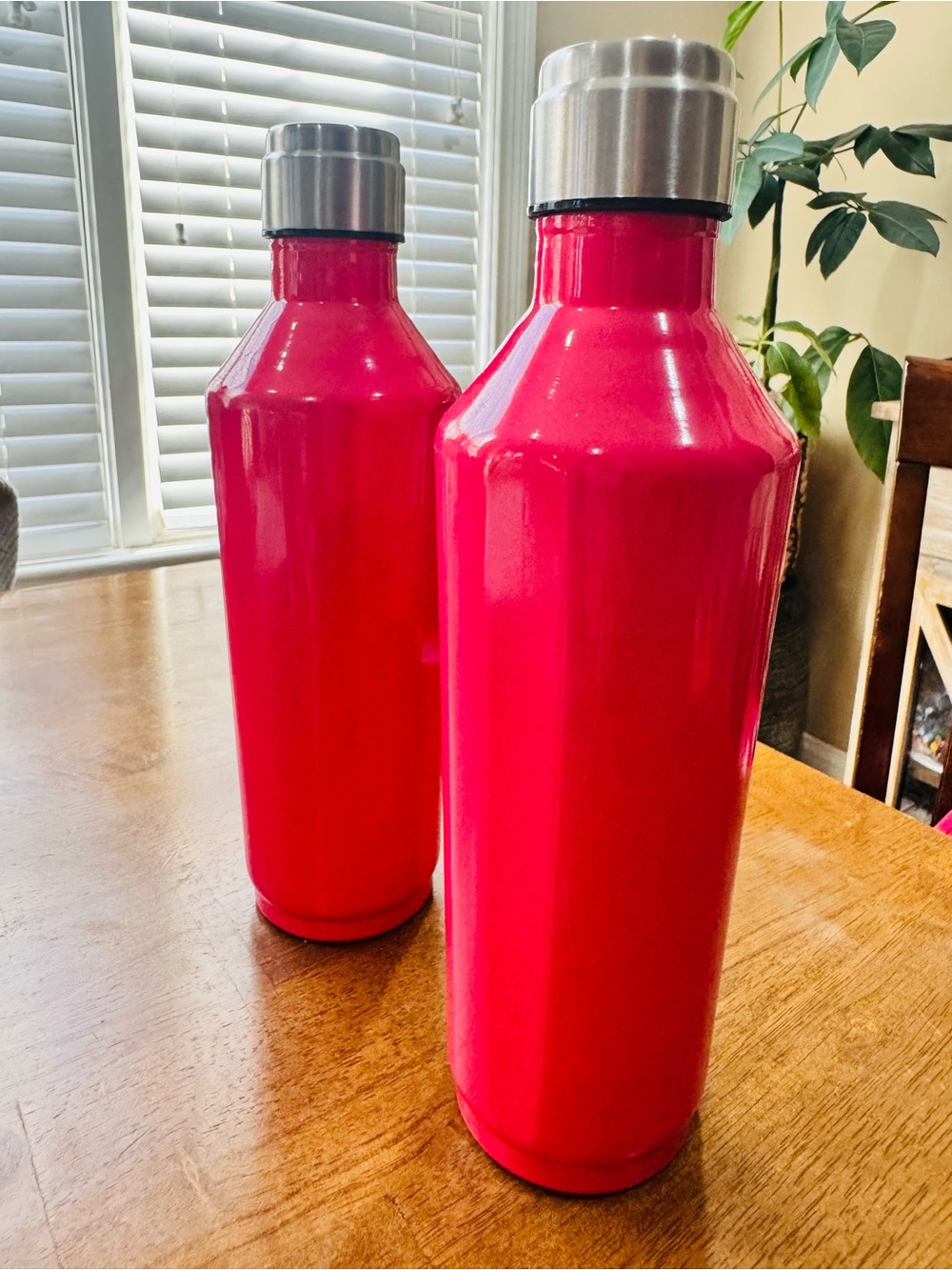 Set of 2, 18.3 oz Hot Pink Stainless Steel Metal Pink Water Bottles w/Lid NEW